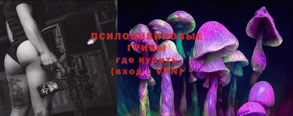 бошки Белокуриха