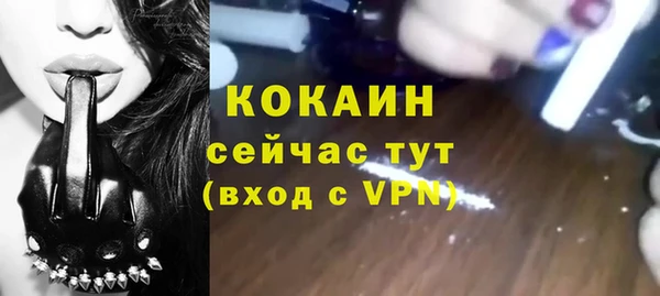 бошки Белокуриха