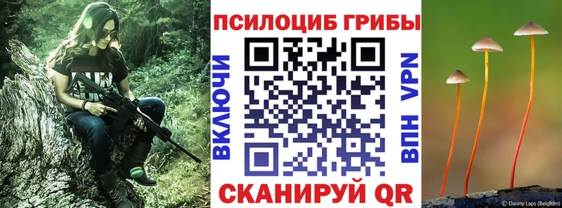 купить наркоту Старица Галлюциногенные грибы мицелий